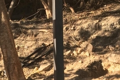 WhatsApp-Image-2019-06-27-at-16.25.29-3