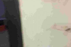 WhatsApp-Image-2019-06-27-at-16.25.36